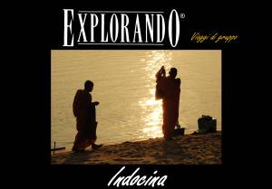 Immagine copertina cataloghi indocina