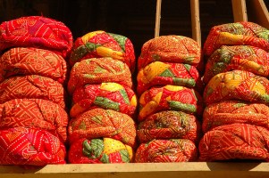 Alla scoperta del Rajasthan