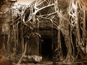 CAMBOGIA LA VIA REALE