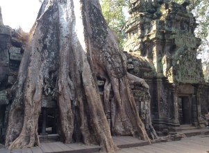 Le Meraviglie di Angkor