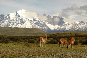 argentina-cile-patagonia-classica