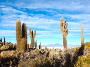 bolivia-panorama-boliviano