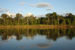 brasile-estensione-amazzonia